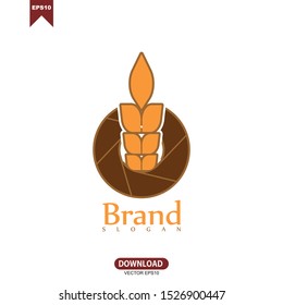 Agriculture wheat concept logo vector template design