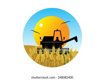 agriculture. Wheat ears, the combine against the big sun