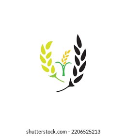 Agrarweizenkörner, Vektorsymbol, Design-Illustration