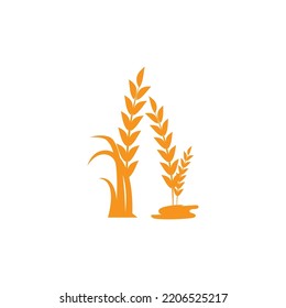 Ilustración del diseño del vector del grano de trigo agrícola