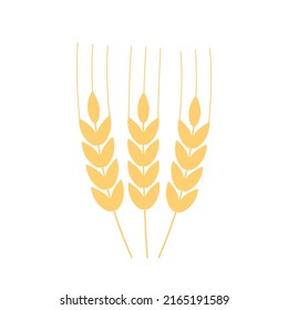 Agriculture wheat icon, Wheat Ears logo isolated on white background, vector illustration
