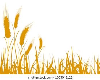 Agriculture wheat illustration for design - stock vector