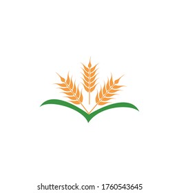 agriculture wheat with leaf  logo design vector illustration