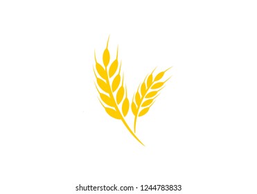 
Agriculture wheat Logo