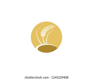 Agriculture wheat logo