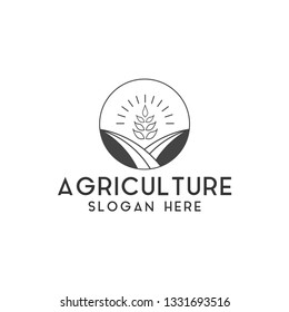 Agriculture wheat logo design template vector isolated illustration