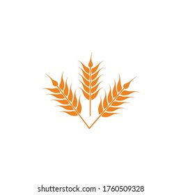 agriculture wheat  logo design vector illustration