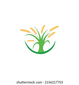 Agriculture wheat Logo Design Vector