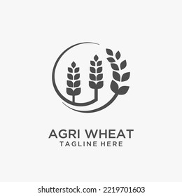 Agriculture wheat logo design vector