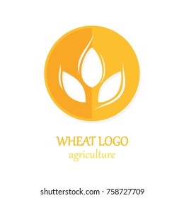 Agriculture Wheat Logo Icon Design Template Vector Illustration