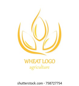 Agriculture Wheat Logo Icon Design Template Vector Illustration
