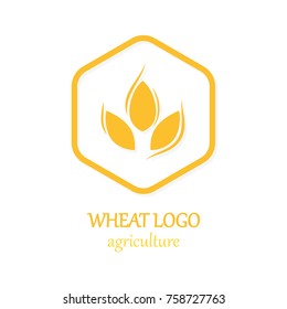 Agriculture Wheat Logo Icon Design Template Vector Illustration