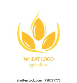 Agriculture Wheat Logo Icon Design Template Vector Illustration