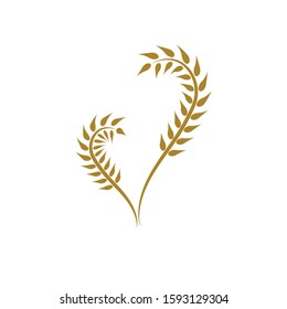 Agriculture wheat logo icon illustration