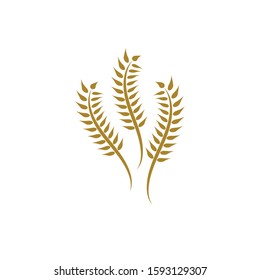 Agriculture wheat logo icon illustration