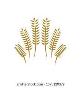 Agriculture wheat logo icon illustration