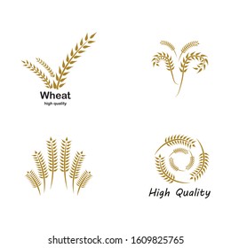 Agriculture wheat logo icon illustration