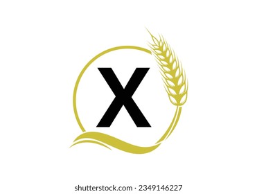 Agriculture Wheat Logo On X Letter. Agriculture Logo Design Template, Food, Healthy Nutrition Symbol. Logo for agriculture business and company identity
