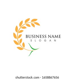 Agriculture wheat logo and symbol vector