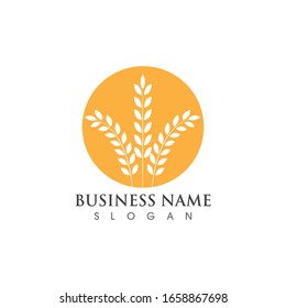 Agriculture wheat logo and symbol vector