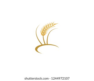 Agriculture wheat logo template