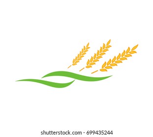 Agriculture wheat Logo Template