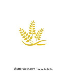 agriculture wheat logo template design vector