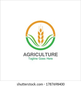 Agriculture Wheat Grain Logo Design Template Stock Vector (Royalty Free ...