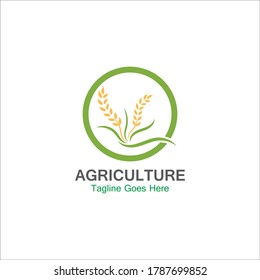 Agriculture wheat logo template icon design