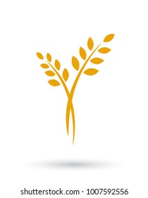 Agriculture wheat Logo Template vector icon design