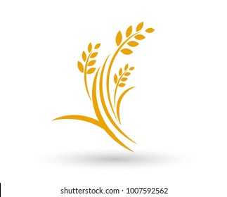 Agriculture wheat Logo Template vector icon design
