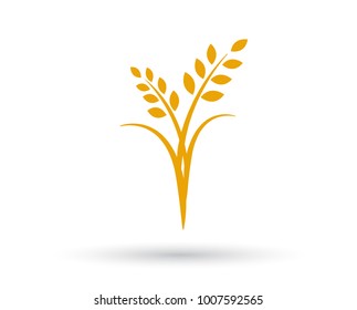 Agriculture wheat Logo Template vector icon design