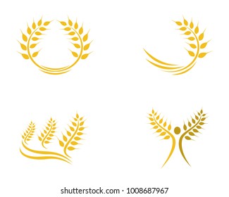 Agriculture wheat Logo Template vector icon design
