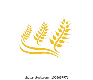Agriculture wheat Logo Template vector icon design