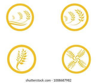 Agriculture wheat Logo Template vector icon design