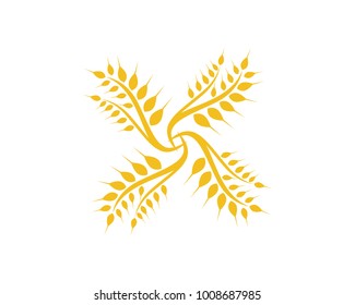 Agriculture wheat Logo Template vector icon design