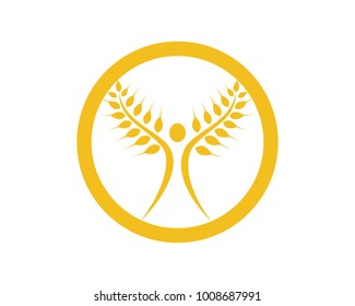 Agriculture wheat Logo Template vector icon design
