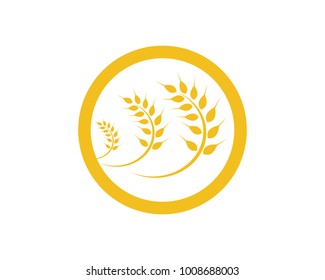 Agriculture wheat Logo Template vector icon design