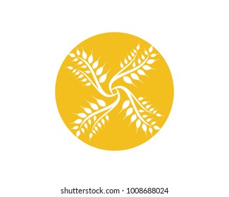 Agriculture wheat Logo Template vector icon design