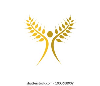Agriculture wheat Logo Template vector icon design