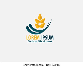 Agriculture wheat logo template vector icon design