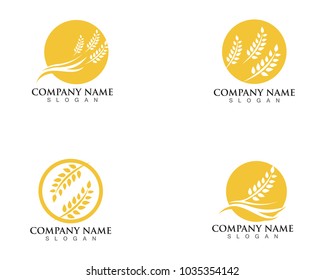 Agriculture wheat Logo Template vector icon design