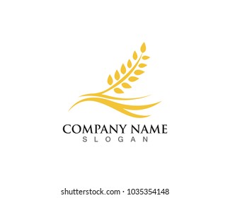 Agriculture wheat Logo Template vector icon design