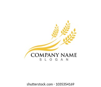 Agriculture wheat Logo Template vector icon design