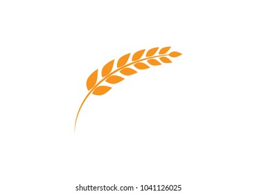 Agriculture wheat Logo Template vector icon design 