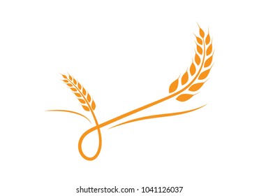 Agriculture wheat Logo Template vector icon design 