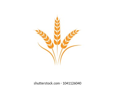 Agriculture wheat Logo Template vector icon design 