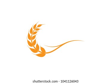 Agriculture wheat Logo Template vector icon design 