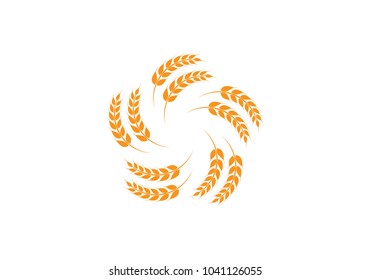 Agriculture wheat Logo Template vector icon design 