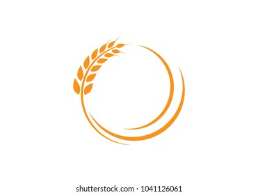 Agriculture wheat Logo Template vector icon design 